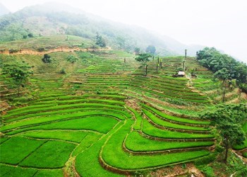 Hidden Paradise in Hoa Binh