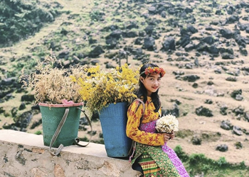 A SPECTACULAR SAPA