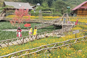 A SPECTACULAR SAPA