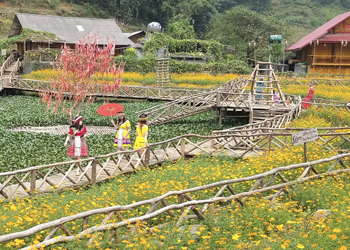 A SPECTACULAR SAPA