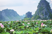 Ninh Binh – One day escape