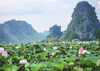 Ninh Binh – One day escape