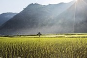 Pu Luong – The Hobbit Land of Vietnam