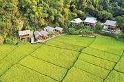 Pu Luong – The Hobbit Land of Vietnam