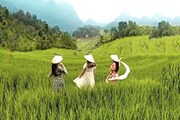 Pu Luong – The Hobbit Land of Vietnam