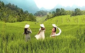 Pu Luong – The Hobbit Land of Vietnam