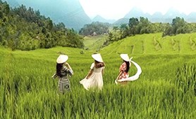 Pu Luong – The Hobbit Land of Vietnam
