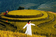 Mu Cang Chai – A Creation of Uniqueness 