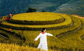 Mu Cang Chai – A Creation of Uniqueness 