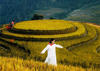 Mu Cang Chai – A Creation of Uniqueness 
