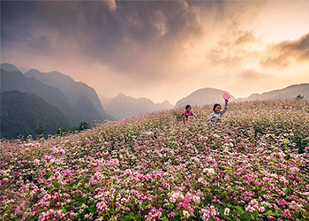 Ha Giang The Loop
