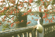 Hue Imperial City - One Day Trip