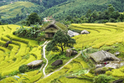 Sapa & Ha Giang adventure
