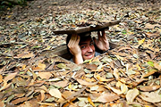 Saigon City & Cu Chi Tunnel