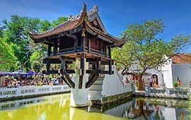 Vietnam in Capture