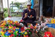 Vietnam in Capture