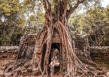 Angkor Temples – one day trip